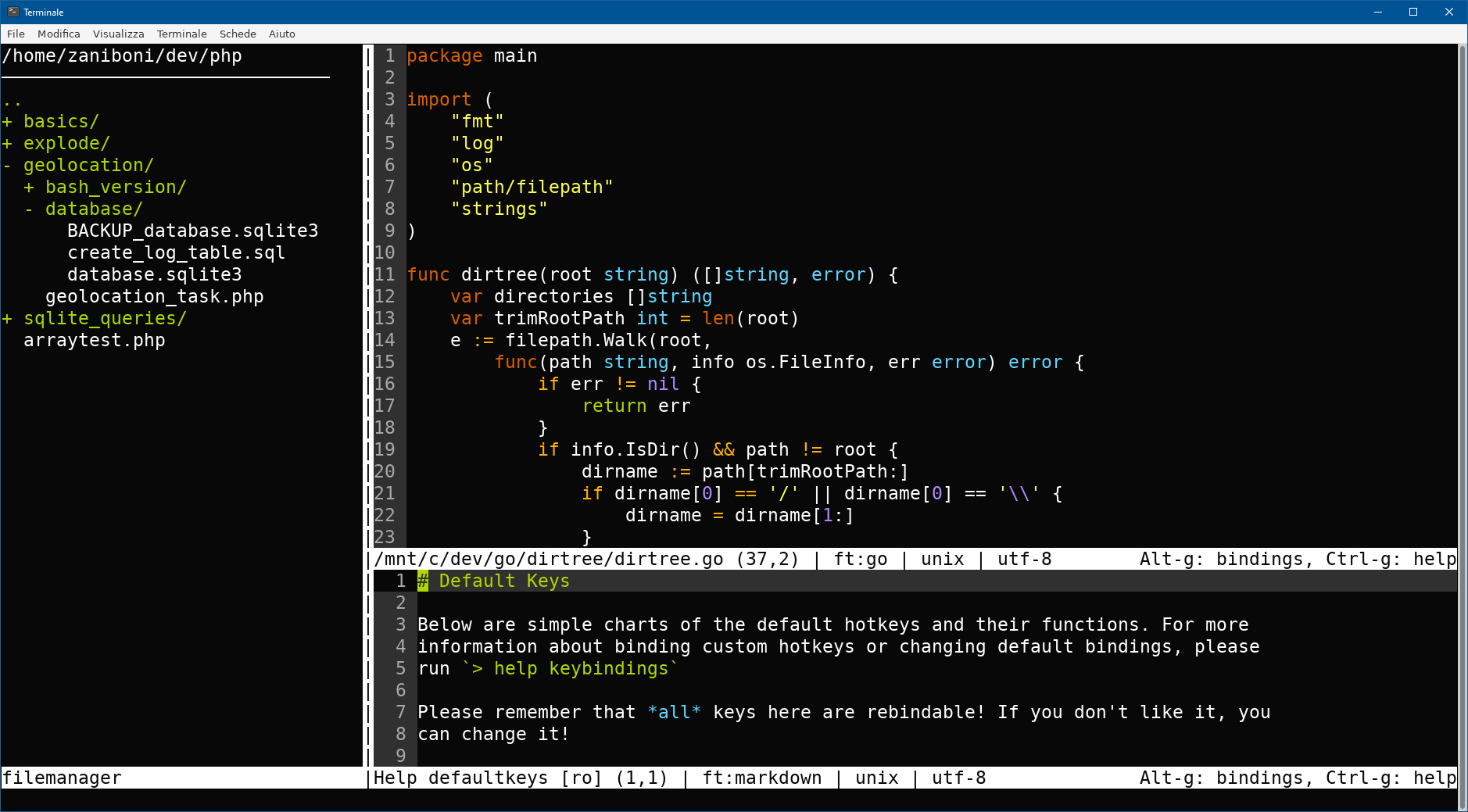 micro editor micro editor